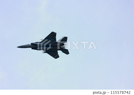 F-15 展示飛行 F-15 展示飛行 115578742