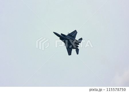 F-15 展示飛行 F-15 展示飛行 115578750