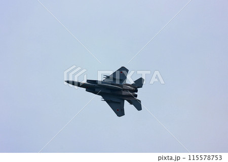 F-15 展示飛行 F-15 展示飛行 115578753