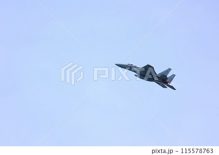 F-15 展示飛行 F-15 展示飛行 115578763