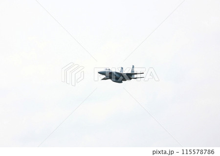 F-15 展示飛行 F-15 展示飛行 115578786