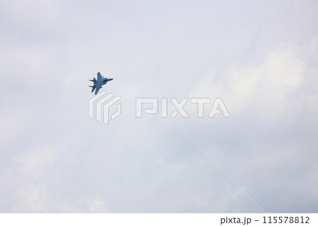 F-15 展示飛行 F-15 展示飛行 115578812