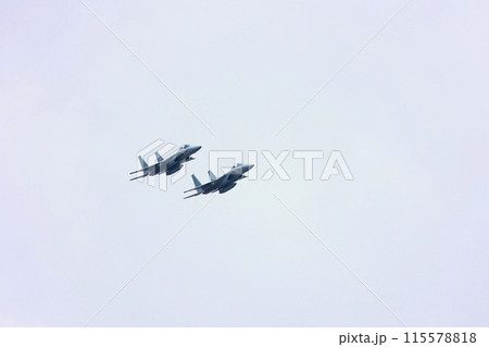 F-15 展示飛行 F-15 展示飛行 115578818