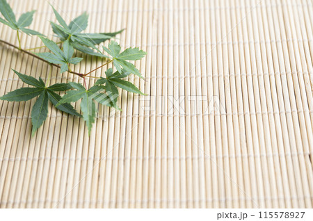 青もみじ 夏イメージ 青もみじ 夏イメージ 115578927