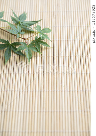 青もみじ　夏イメージ 115578928