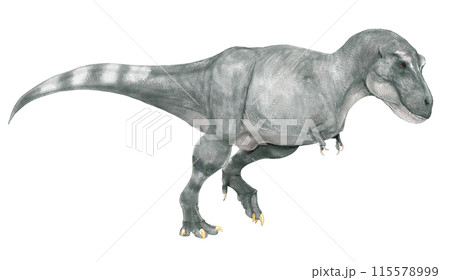 白亜紀後期の北アメリカ大陸における頂点捕食者(側面図) 白亜紀後期の北アメリカ大陸における頂点捕食者(側面図) 115578999