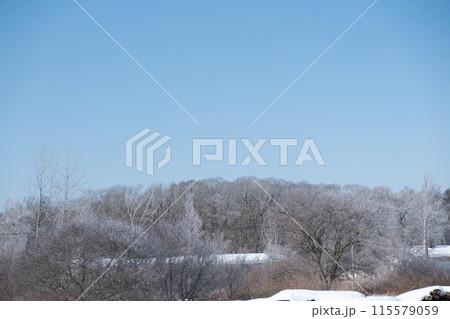 北海道 冬の追分駅 北海道 冬の追分駅 115579059