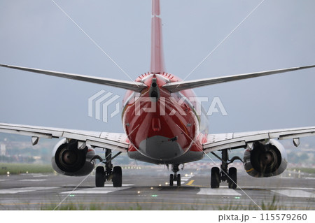 飛行機 航空機 ひこうき 115579260