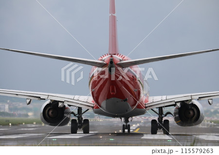 飛行機 航空機 ひこうき 115579263