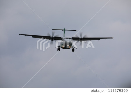 飛行機 航空機 ひこうき 115579399