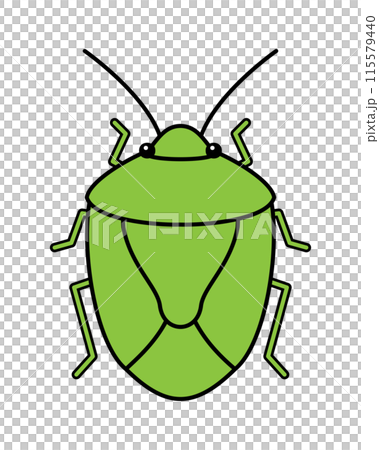 Simple illustration of a stink bug 115579440