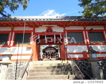 奈良県奈良市の奈良公園内浮見堂近くの小さな丘の上にある神社である天神社 115579503