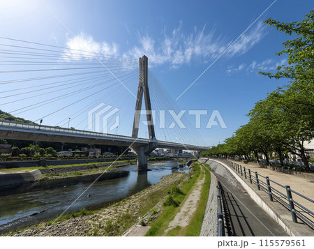 新緑の桜並木が続く猪名川沿いの景色 新緑の桜並木が続く猪名川沿いの景色 115579561