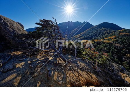 朝の大日岩から見る秋色の金峰山 115579706