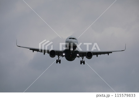 飛行機 航空機 ひこうき 115579833