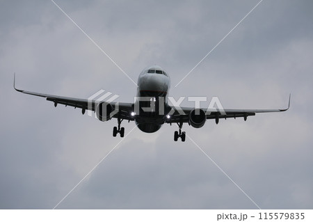 飛行機 航空機 ひこうき 115579835