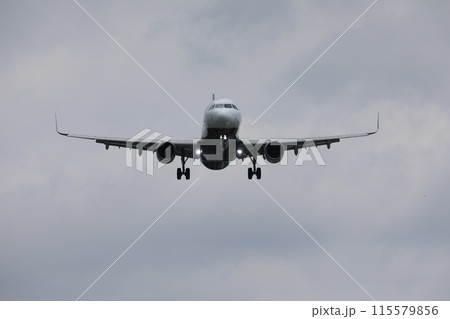 飛行機 航空機 ひこうき 115579856