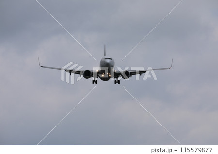 飛行機 航空機 ひこうき 115579877