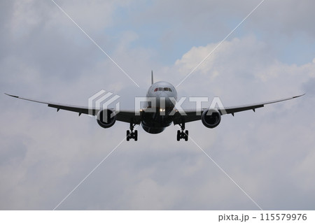 飛行機 航空機 ひこうき 115579976
