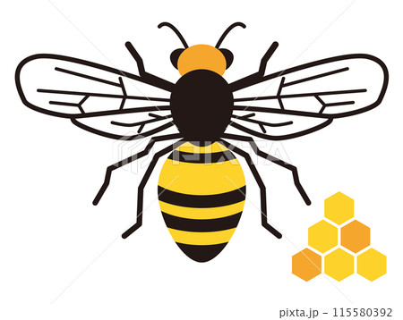 蜂 115580392