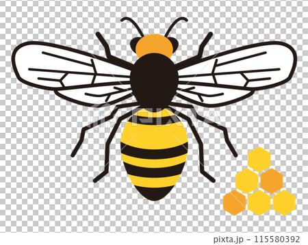 蜂 115580392
