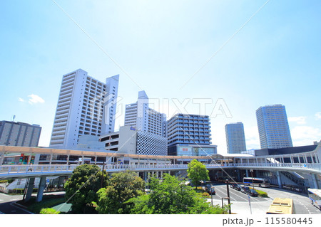 海老名駅周辺　神奈川県 115580445