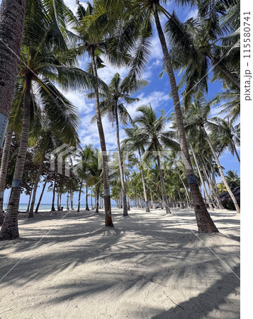 Amazing paradise view to the White beach with palms in Bohol Panglao island, Philippines Amazing paradise view to the White beach with palms in Bohol Panglao island, Philippines 115580741