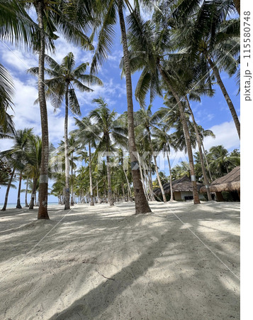 Amazing paradise view to the White beach with palms in Bohol Panglao island, Philippines Amazing paradise view to the White beach with palms in Bohol Panglao island, Philippines 115580748