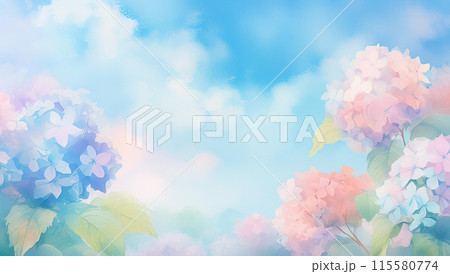 梅雨晴れの紫陽花 115580774