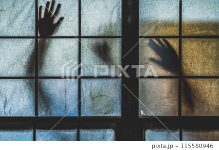 怖い写真 115580946