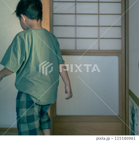 田舎での暮らし：ライフスタイルのイメージカットシリーズ 115580981