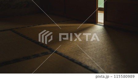 静かな和室の空間 115580989