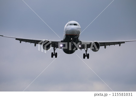 飛翔 フライト 脱走 115581031