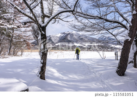 スノーシューで雪の中を歩く 蒜山高原 スノーシューで雪の中を歩く 蒜山高原 115581051