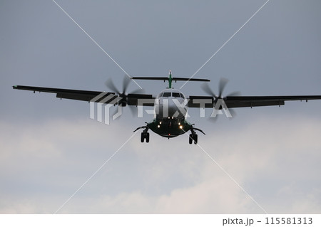 飛行機 航空機 ひこうき 115581313