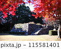 紅葉と城址　 115581401