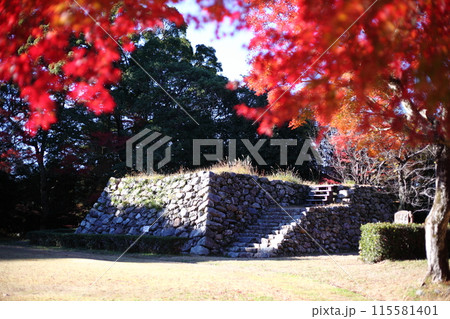 紅葉と城址　 115581401