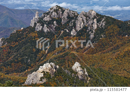 金峰山稜線から見る瑞牆山・大日岩 金峰山稜線から見る瑞牆山・大日岩 115581477