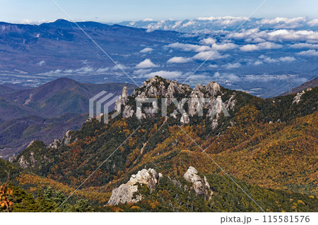 金峰山稜線から見る瑞牆山・大日岩と北アルプスの山並み 115581576