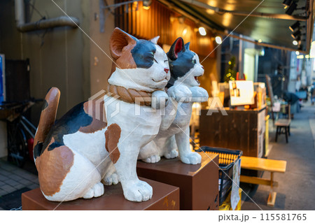 東京都　ノスタルジックな谷中ぎんざ商店街の風景 115581765