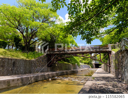 兵庫県西宮市 緑の夙川公園 川添橋 115582065