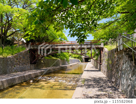 兵庫県西宮市 緑の夙川公園 川添橋 115582068