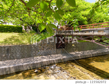 兵庫県西宮市 緑の夙川公園 川添橋 115582072