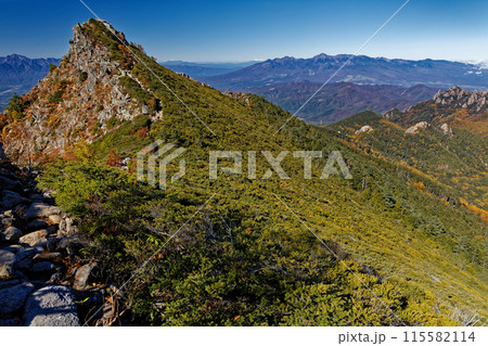 秋色の金峰山稜線から見る瑞牆山と八ヶ岳 115582114