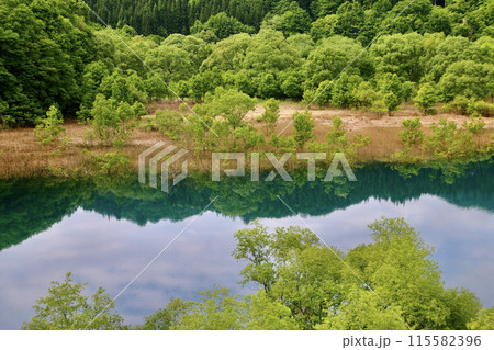 秋扇湖の水没林（秋田県・仙北市） 115582396