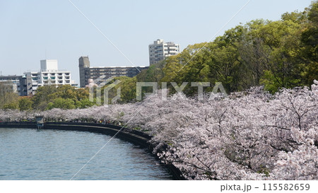 青空と桜 115582659