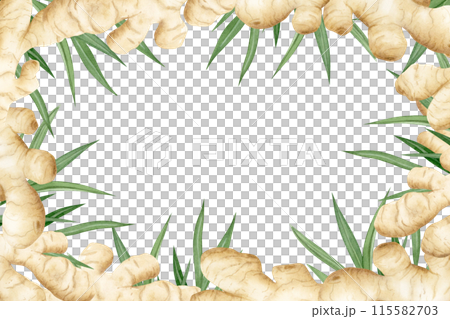 Watercolor ginger roots and plant leaves horizontal frame illustration isolated on white background in pastel beige colors for label designs. Horseradish spicy vegetable template with copy space Watercolor ginger roots and plant leaves horizontal frame illustration isolated on white background in pastel beige colors for label designs. Horseradish spicy vegetable template with copy space 115582703