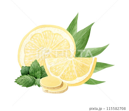Citrus mix with Lemon, ginger and spearmint watercolor illustration in light yellow and green colors isolated on white. Hand drawn cut ingredients of fruits, herbs and vegetables 115582708
