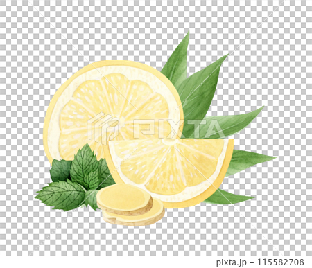 Citrus mix with Lemon, ginger and spearmint watercolor illustration in light yellow and green colors isolated on white. Hand drawn cut ingredients of fruits, herbs and vegetables 115582708