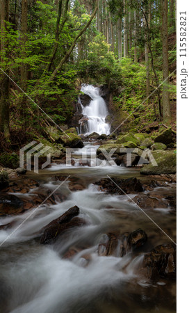 田代の本滝 115582821